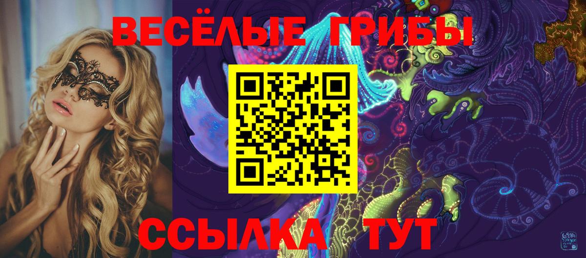 Псилоцибиновые грибы Magic Shrooms  Вход с VPN  купить закладку  Алексин 