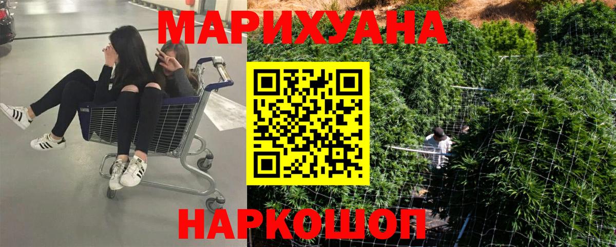 Алексин  Марихуана планчик  Шишки марихуана сатива  Вход с VPN  Бошки Шишки тримм 